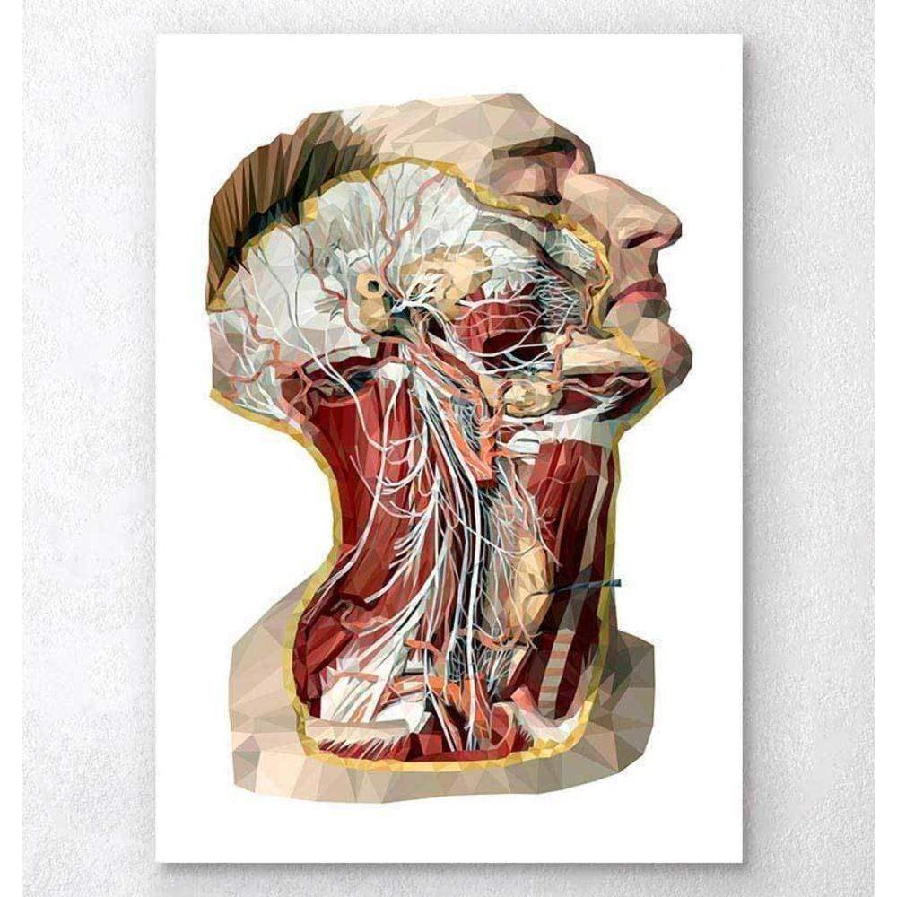 Lee más sobre el artículo Fisioterapia cervical y migraña: cuándo el cuello sí importa