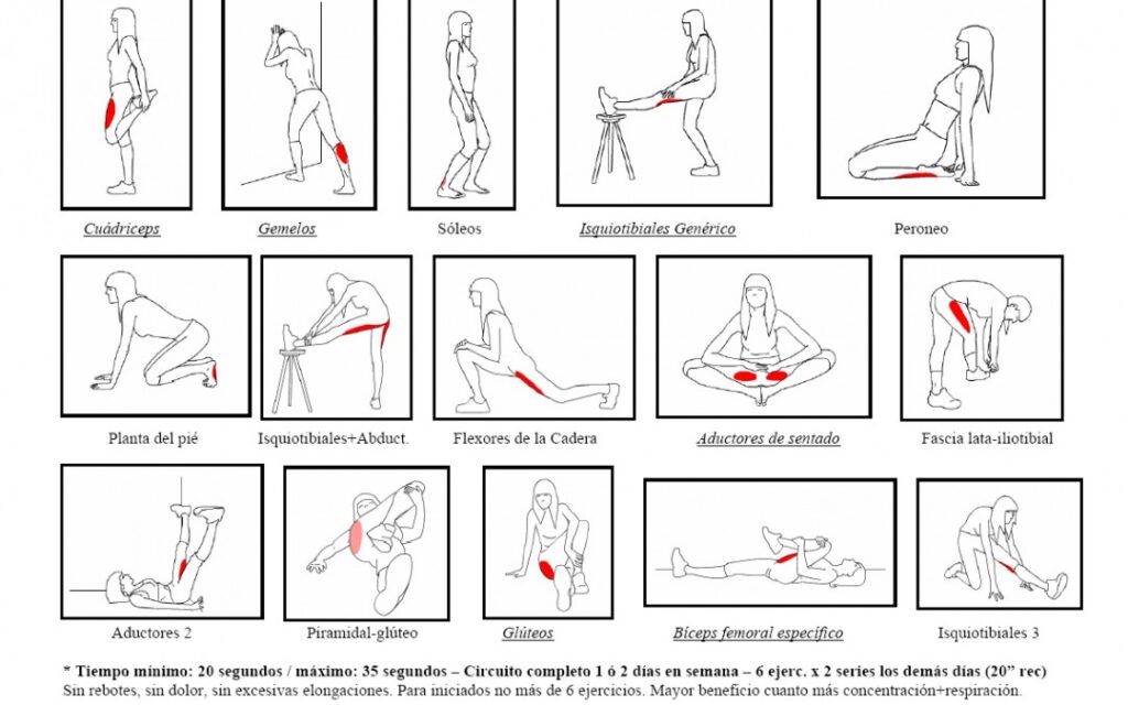 estiramientos antes de entrenar con ejercicios de calentamiento dinámico