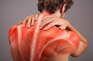 Lee más sobre el artículo Dolor interescapular en Madrid: ¿y si el problema no está en la espalda?